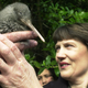 Former New Zealand Prime Minister Helen Clark with a Spotted Kiwi. Image: Getty Images